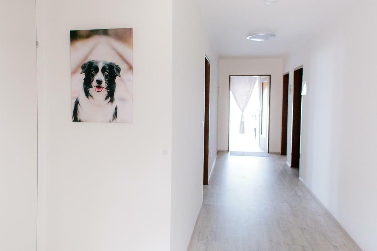 Steira-Studios Ehrenhausen Extérieur photo