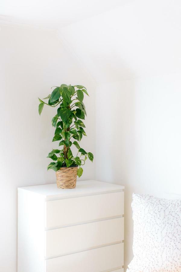 Steira-Studios Ehrenhausen Extérieur photo